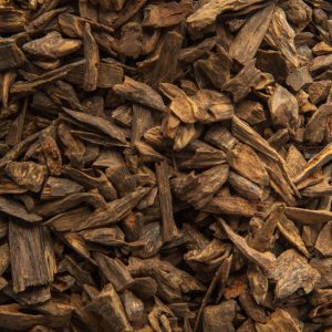 Filipino Leyte, Burmese Scent Line