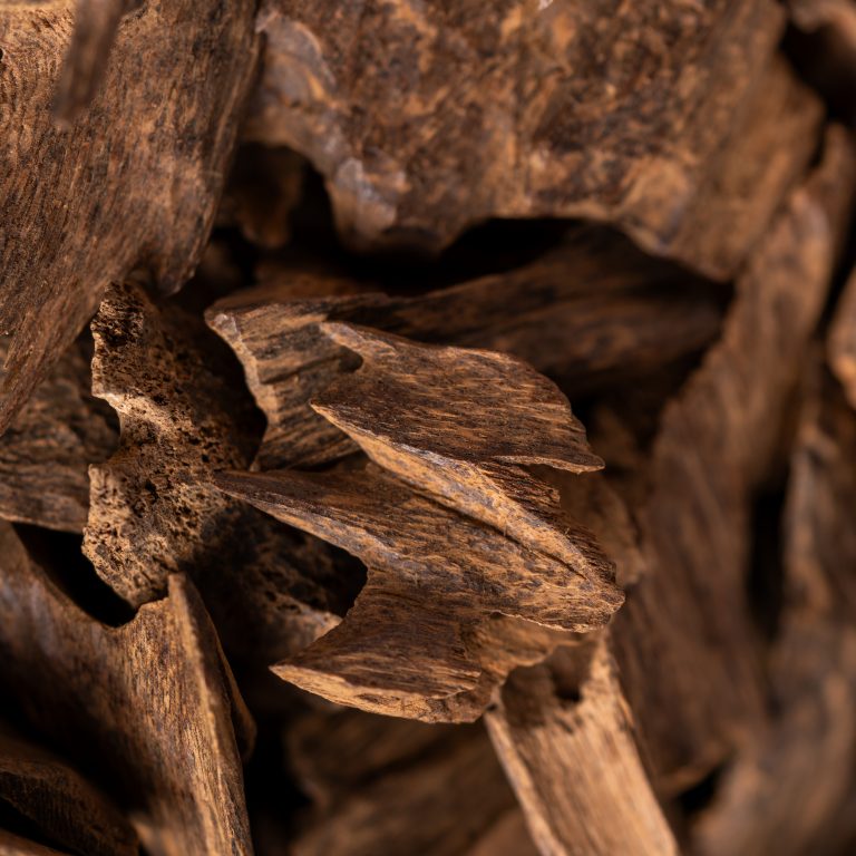 Cambodian Wild | Spicy Line (Red Cambodian)