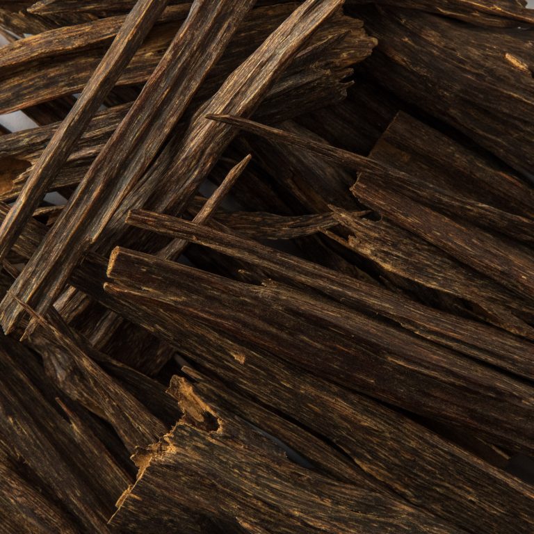 Golden Nagaland | Indian