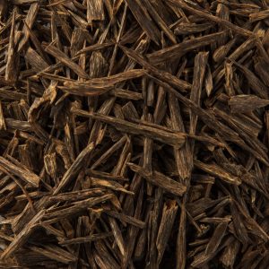 سيوفي رؤوس | الاختيار اليومي