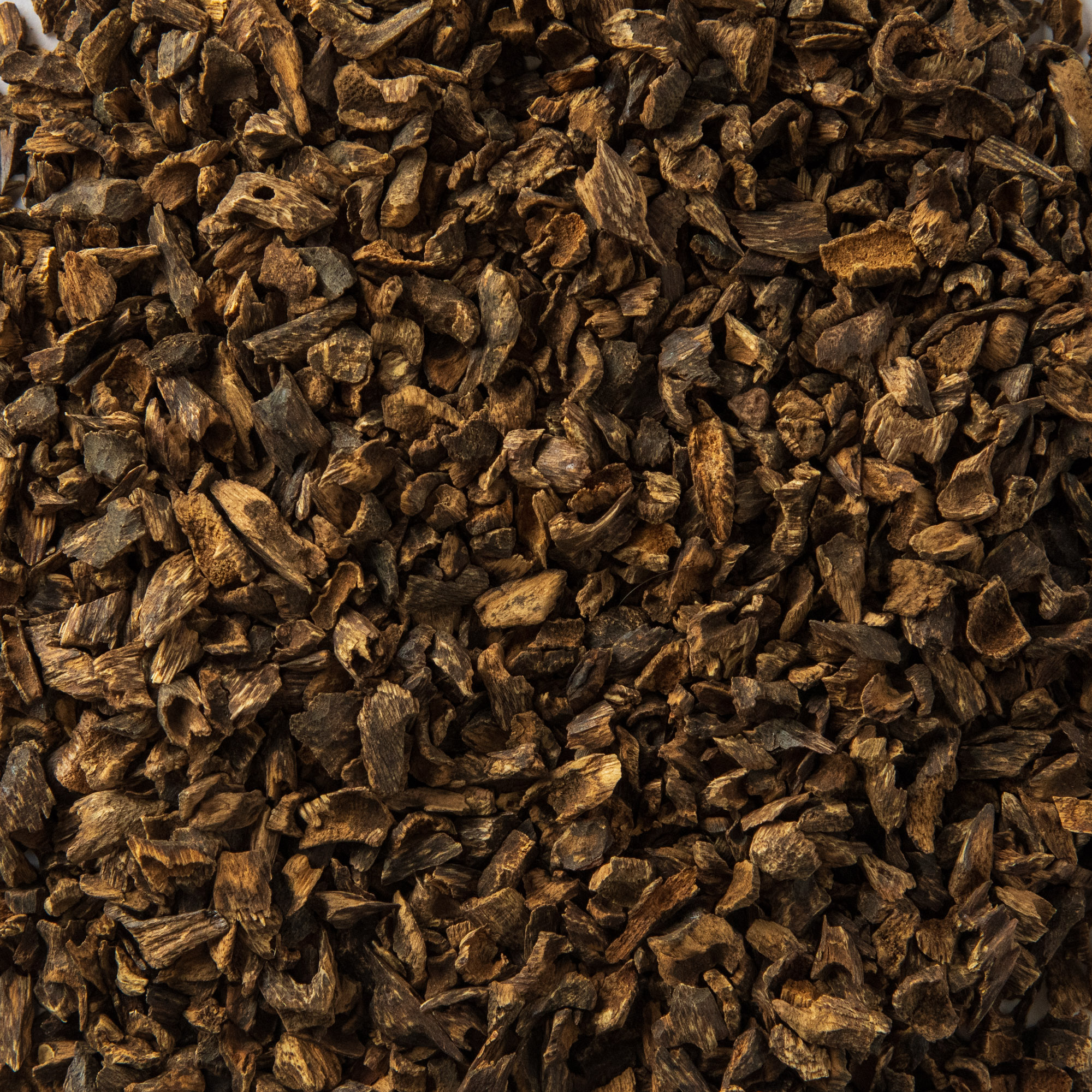 Hindi Mini | Daily Select